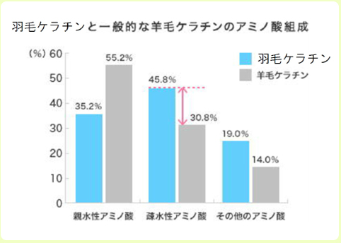 羽毛ケラチンと一般的な羽毛ケラチンのアミノ酸組織の比較