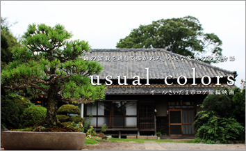 usualcolors